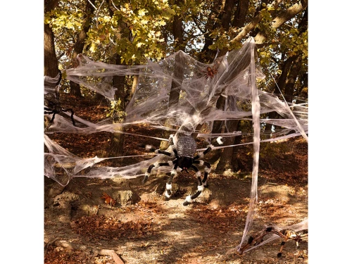 Hairy Spider 50 x 70 cm