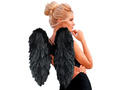 Wings black