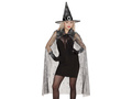 Adult Black Witch costume