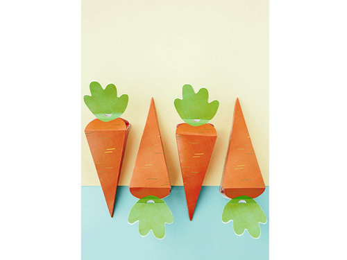 Carrots gift boxes - 6 pcs.