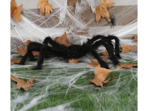 Black Spider 60  cm
