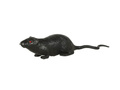 Rat 15 cm