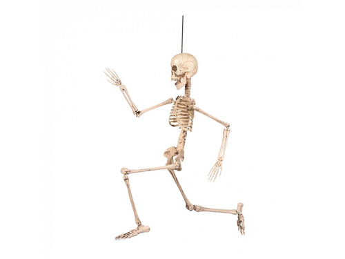 Hanging decoration Movable skeleton - 50 cm - 1 pc