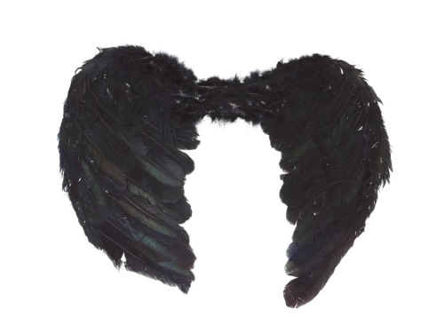 Wings black