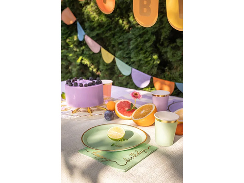 Paper garland, 3 m, 1 pc