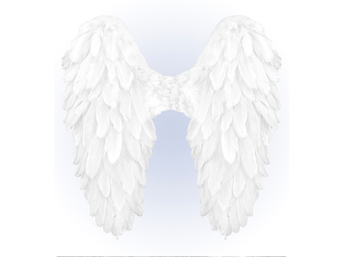 Angel wings white - 65 x 65 cm