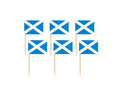 Scotland Flag Picks - 50 pcs