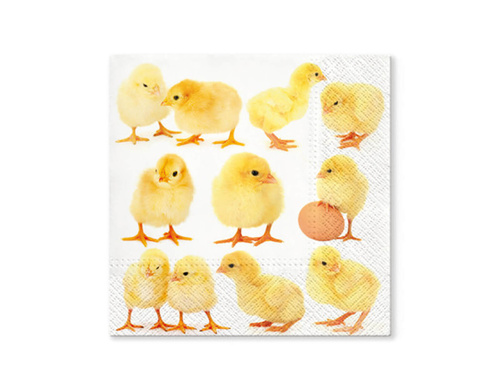 Easter Chickens napkins - 33 cm - 20 pcs.