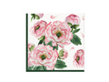 Wild Rose napkins - 33 cm - 20 pcs.