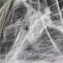 Chenille Sppiderweb
