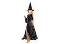 Midnight Witch Halloween Costume