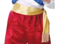 Lamp genius Costume