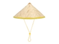 Vietnamese hat