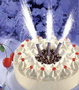 Cake fountains - 4 colors - 12 cm - 4 pcs.