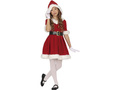Santa girl costume