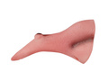 Adults Witch Nose