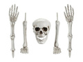 5 skeleton bones with pickets