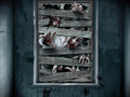 Wall Decorations - 1 pc