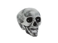 Skull 20 cm - 1 pc