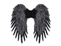 Wings black