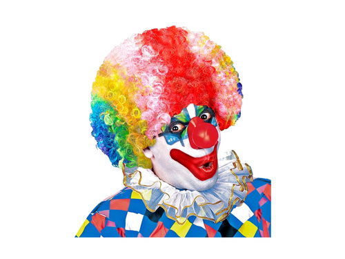 Wielokolorowa kręcona peruka włosy afro