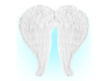 Angel wings white - 60 x 46 cm