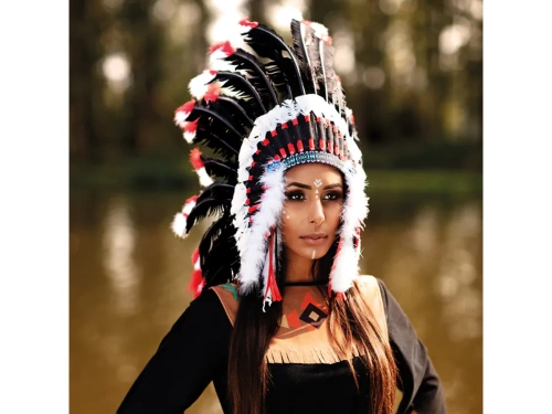 Indian Feather Headdress