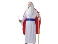 Druidess costume