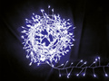 LED lights - cold white - 384 lights