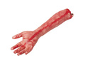 Amputated bloody arm