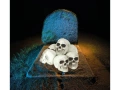 Mini Skulls - 8 cm - 6 pcs