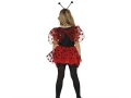 Little ladybird