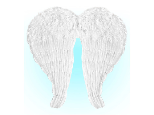 Angel wings white - 60 x 46 cm