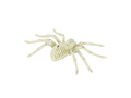 Spider skeleton - 24 cm - 1 pc.