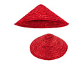 Vietnamese hat