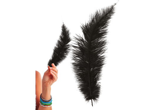 Ostrich Feather Black Big 40 cm