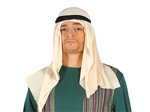 Joseph costume for a man - green