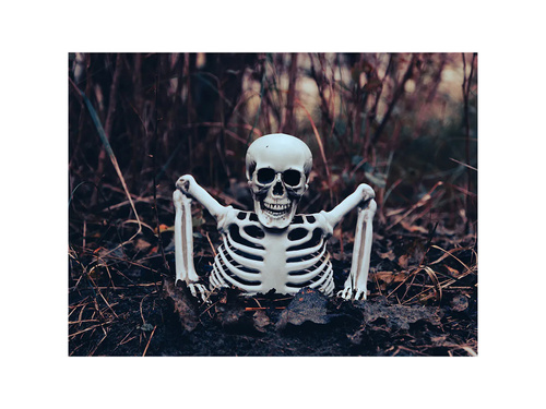 Dekoracja zewnętrzna Szkielet na Halloween - 1 szt.