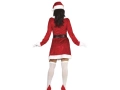 Ladies Costume Santa