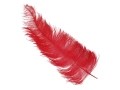 Ostrich Feather Red Giant 50 cm