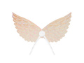 Pearl Angel Wings - 23 x 45 cm