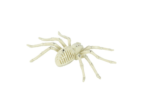 Spider skeleton - 24 cm - 1 pc.