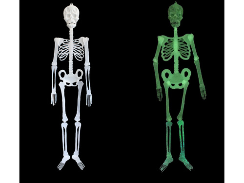 Fluorescent skeleton - 150 cm