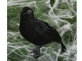 Black crow - 25 cm - 1 pc