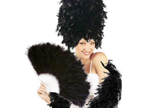 Black feather fan