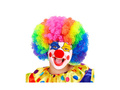 Peruka klauna wielokolorowe włosy afro