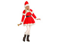 Ladies Costume Santa