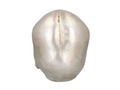 Skull - 1 pc