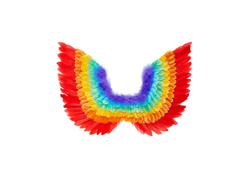 Tęczowe skrzydła z piór 60×40 cm