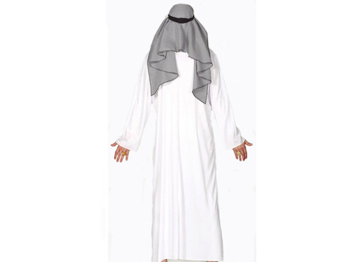 Petro dollar shail Costume